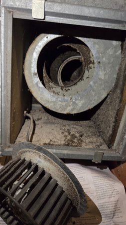 20260113_103054.jpg