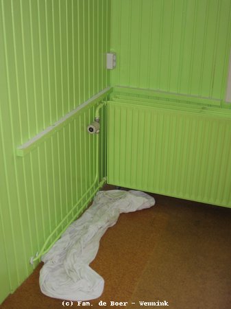 120212_111037-IMG_1417.JPG