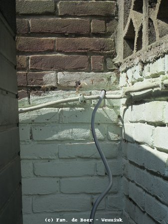 130524_120716-IMG_2142.JPG