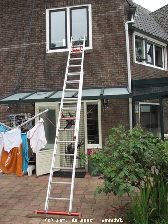160709_153522-IMG_2016.JPG