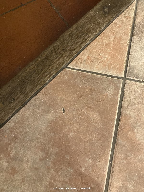 240927_143926-IMG_9933.jpg