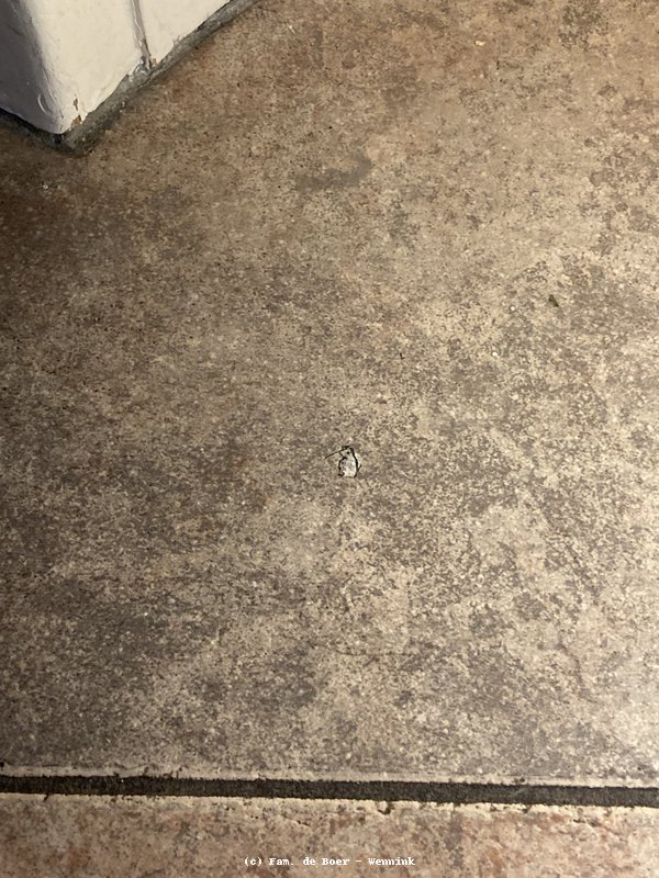 240927_143931-IMG_9934.jpg