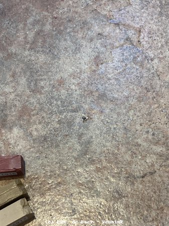 240927_143616-IMG_9932.jpg