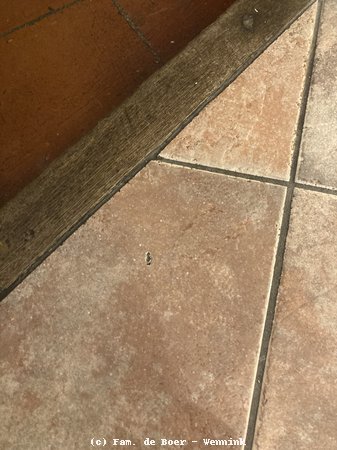 240927_143926-IMG_9933.jpg