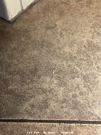 240927_143931-IMG_9934.jpg