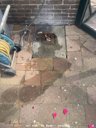 250517_115552-IMG_1197.jpg