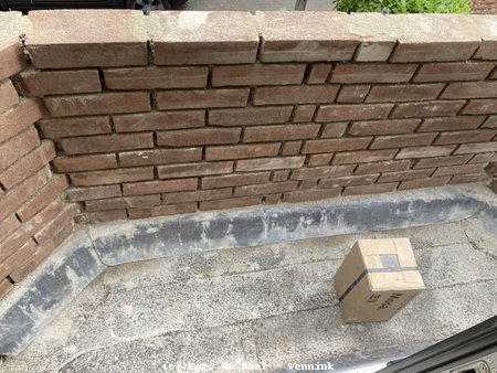 260717_080044-IMG_6947.jpeg