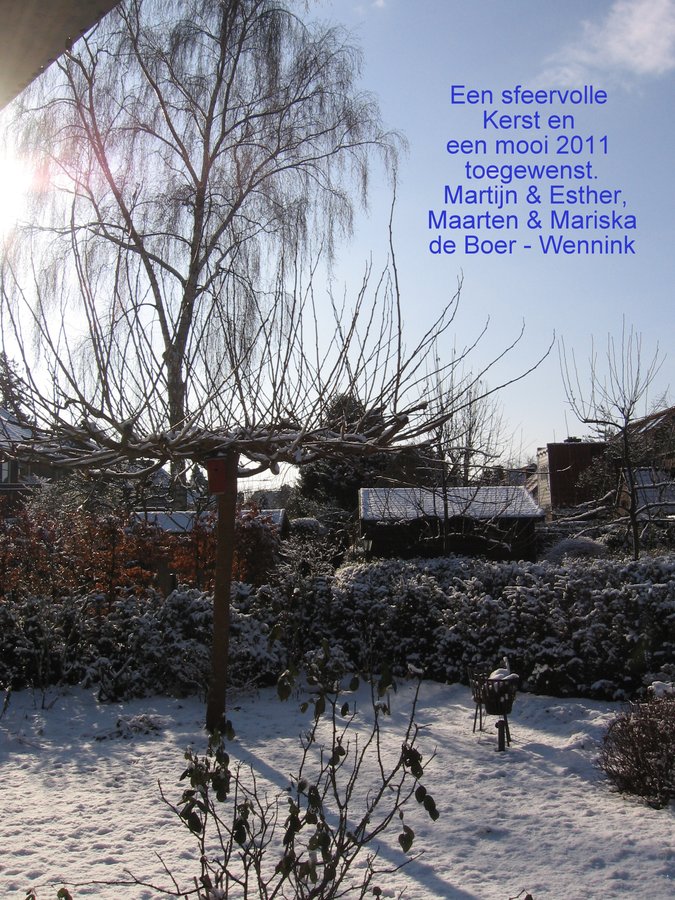 Kerstkaart_2010.jpg