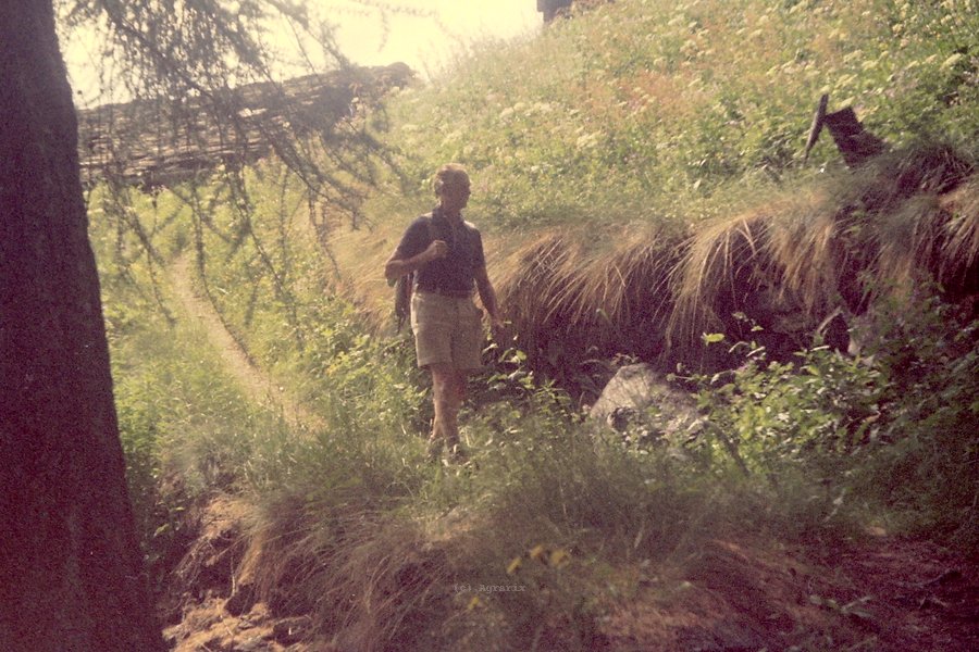 PICT2102.JPG