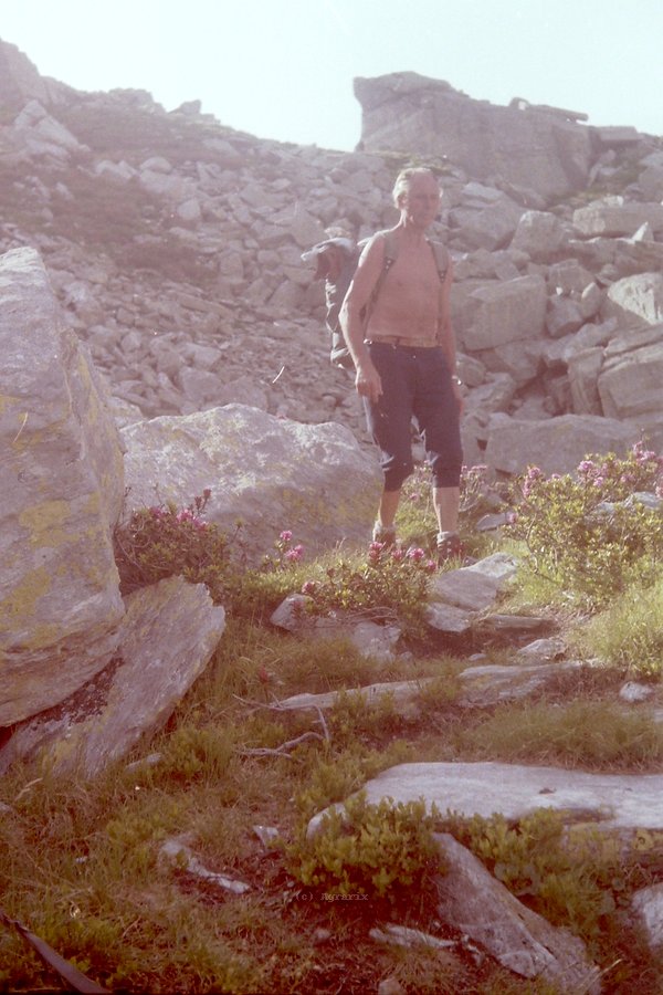 PICT3411.JPG