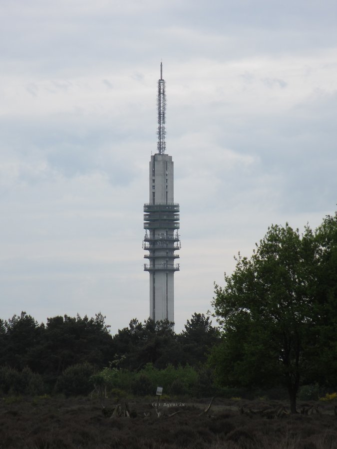 IMG_2181.JPG