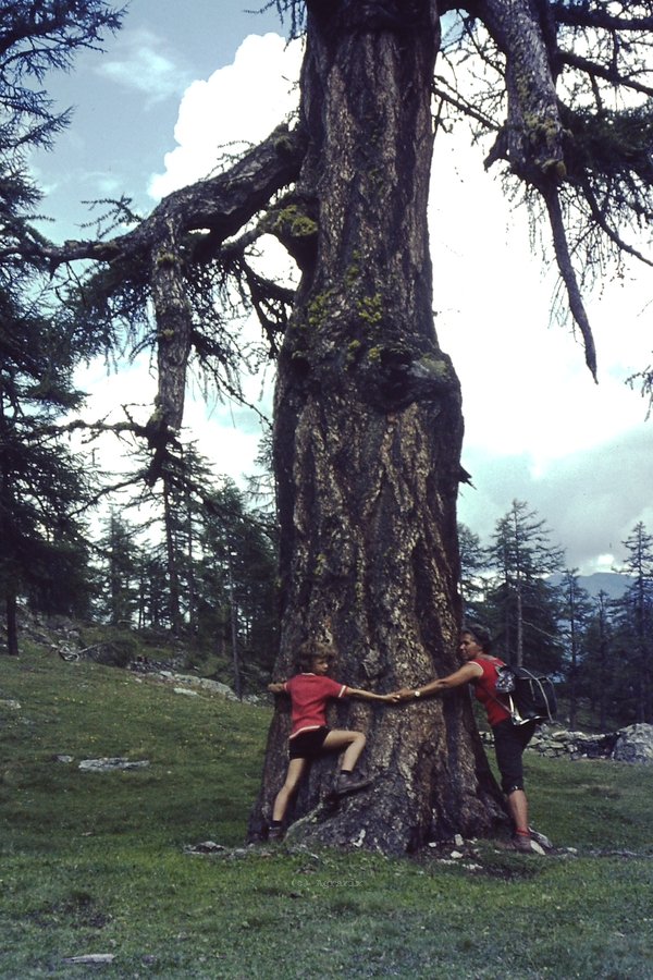 PICT0091.JPG