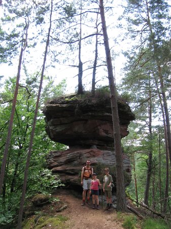 IMG_5227.JPG