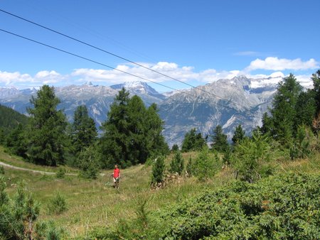 IMG_8676.JPG