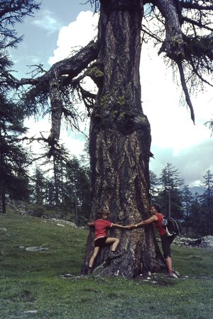 PICT0091.JPG
