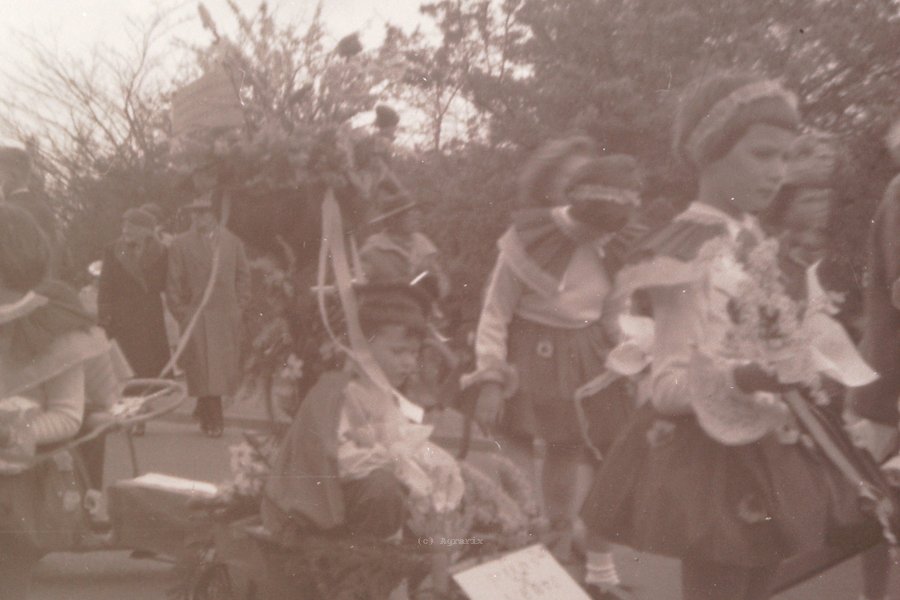 PICT0005.JPG