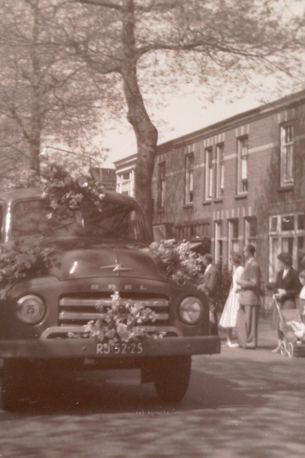 PICT0008.JPG