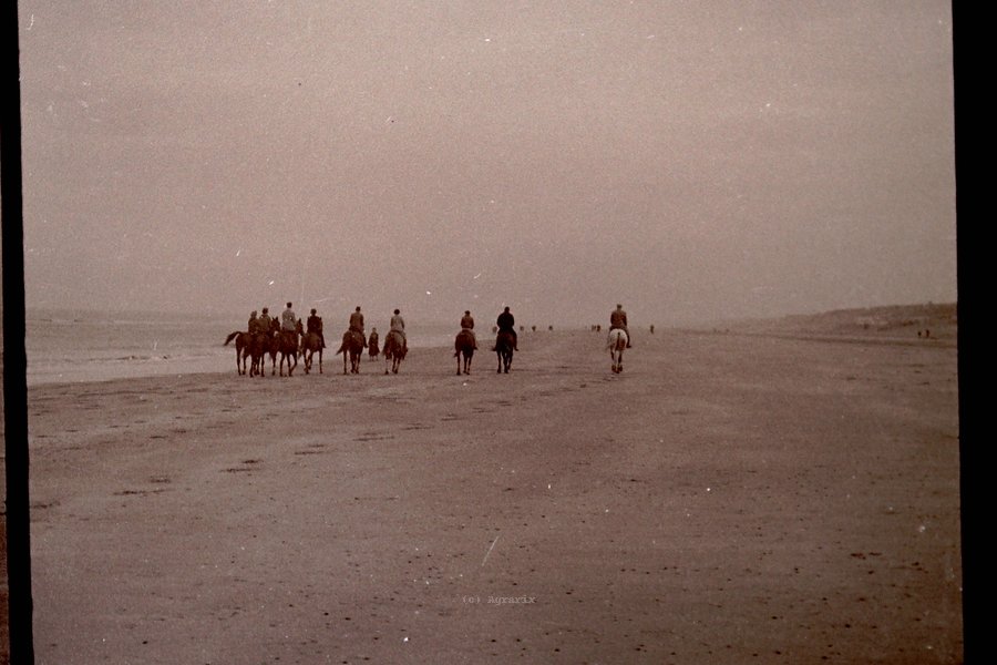 PICT0035.JPG