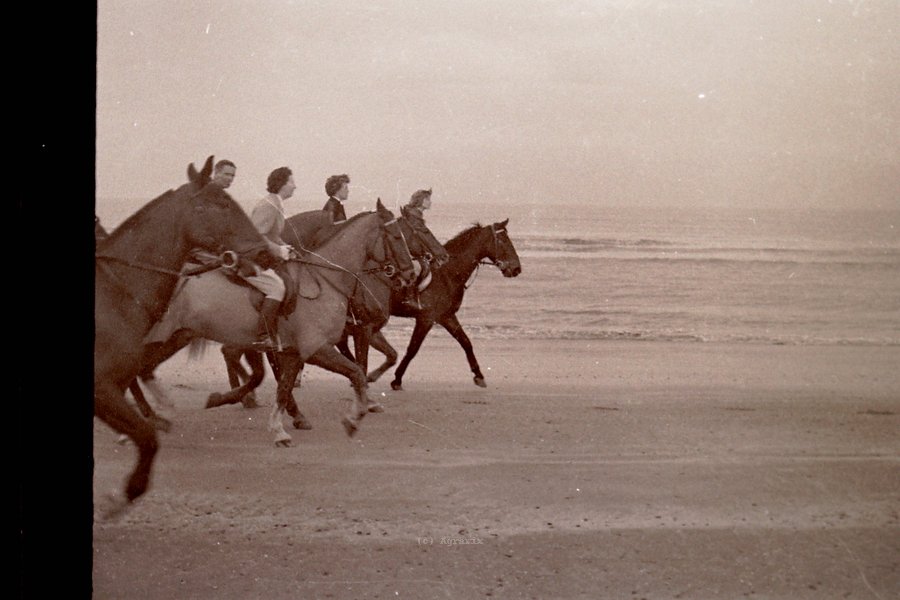 PICT0036.JPG