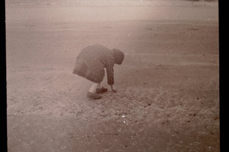 PICT0033.JPG