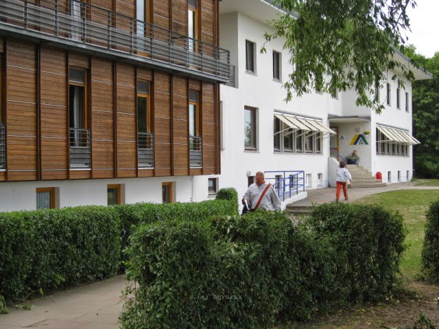 IMG_2755.JPG