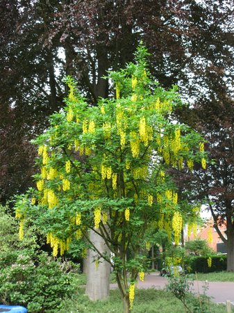 IMG_1328.JPG