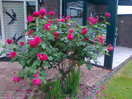2016-06-11_110620161230.jpg