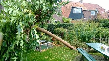 20131028_020.jpg