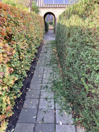 20201107_134407236_iOS.jpg