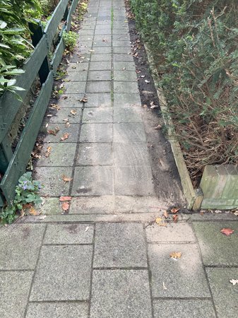 20201107_135108233_iOS.jpg