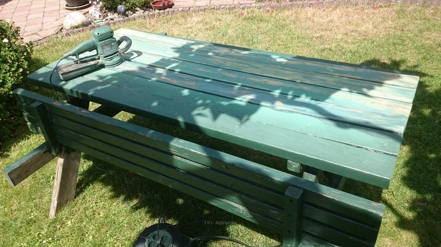 DSC_0236.JPG