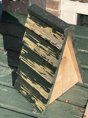 IMG_2730.jpg