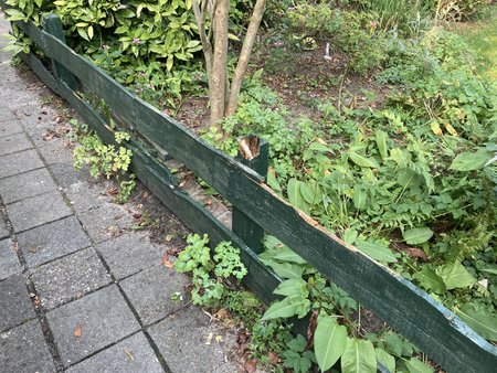 230915_172301-IMG_7064.jpg