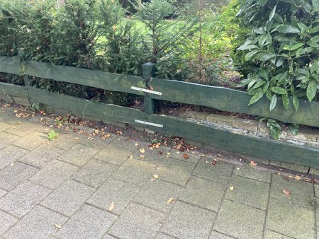 230915_172316-IMG_7065.jpg