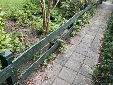 230915_172352-IMG_7067.jpg
