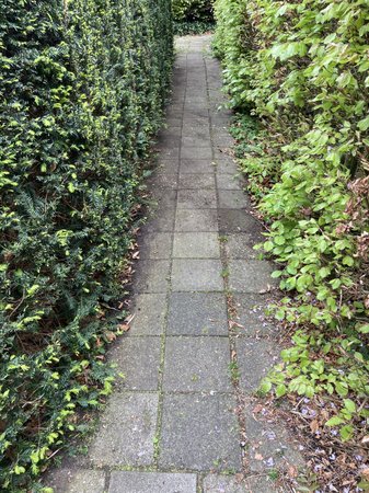 IMG_8560.jpg