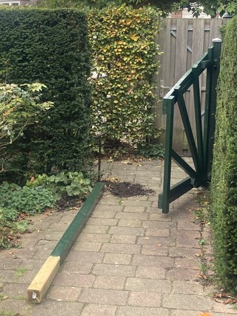 241108_124205-IMG_0170.jpg