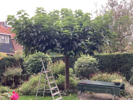 251017_130732-IMG_3242.jpg
