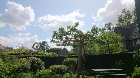DSC_0194.JPG