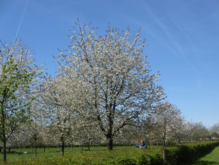 IMG_1152.JPG