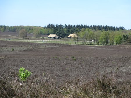 IMG_1168.JPG