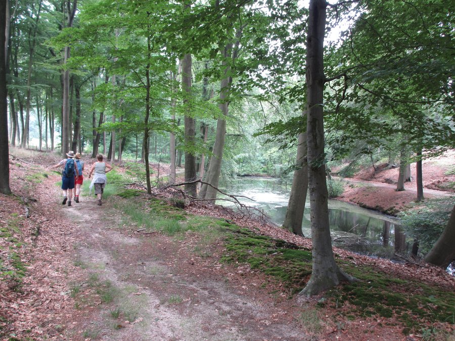 IMG_2277.JPG