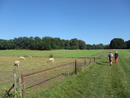 IMG_3782.JPG
