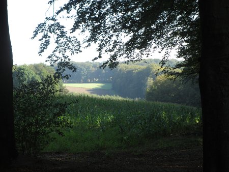 IMG_3786.JPG