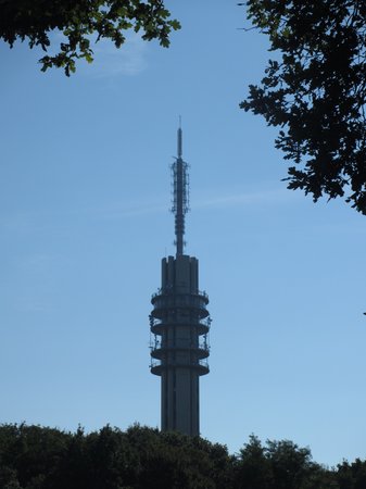 IMG_3804.JPG