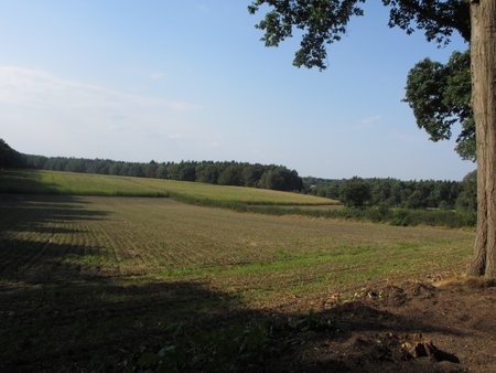 IMG_3820.JPG