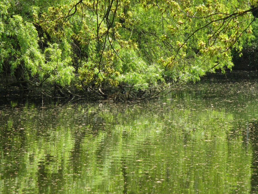 IMG_4881.JPG