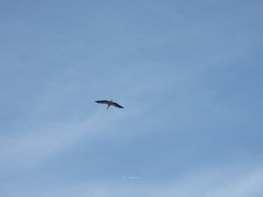 IMG_5399.JPG