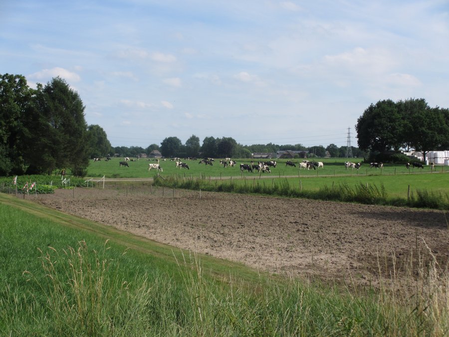 IMG_5404.JPG