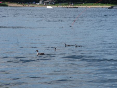 IMG_5385.JPG